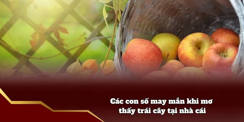 Các con số may mắn khi mơ thấy trái cây tại nhà cái
