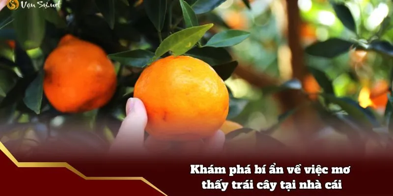 Giải mã ý nghĩa cụ thể của giấc mơ thấy trái cây tại nhà cái