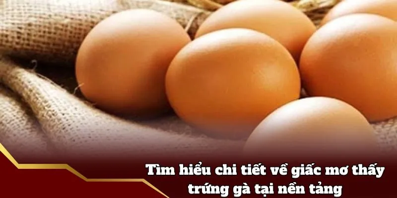 Tìm hiểu chi tiết về giấc mơ thấy trứng gà tại nền tảng